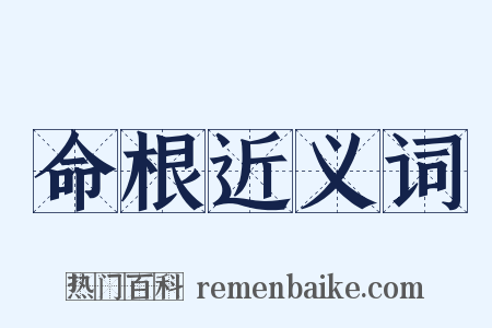 命根近义词是什么意思的图片